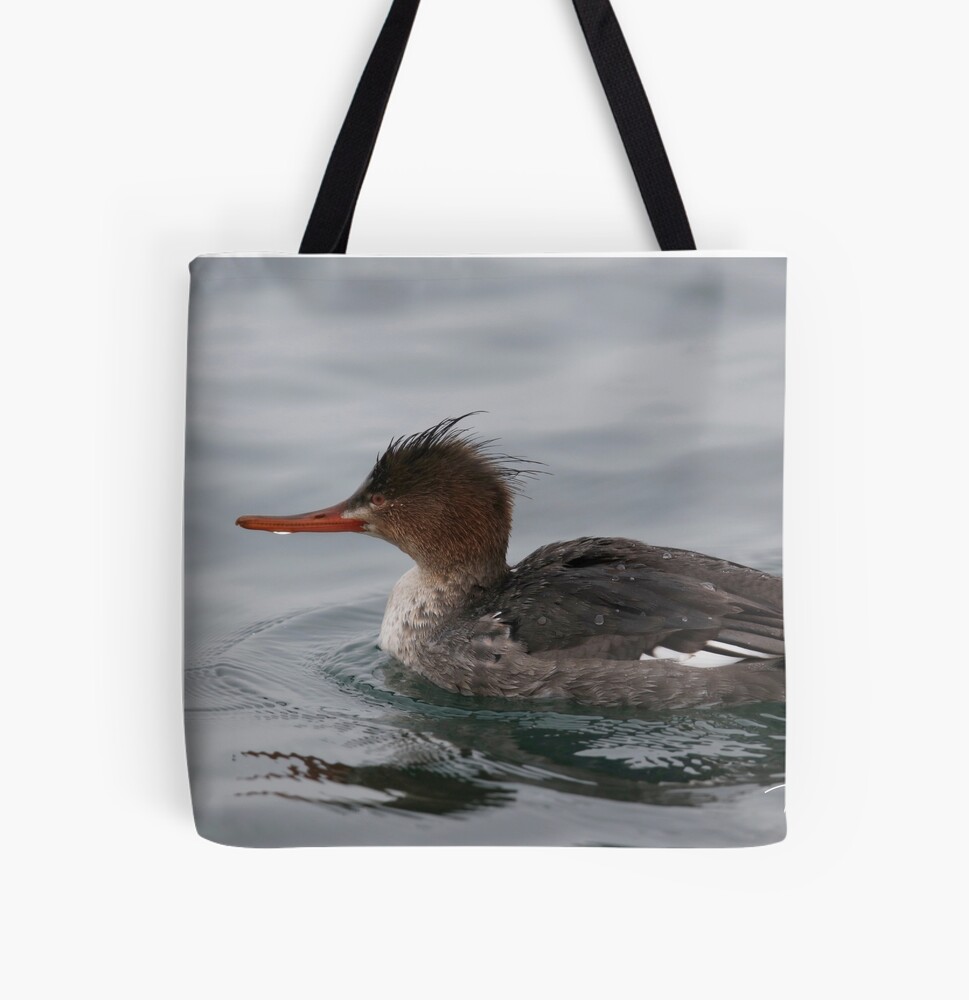 red breasted merganser 