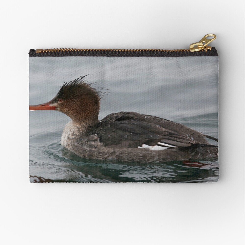 red breasted merganser 