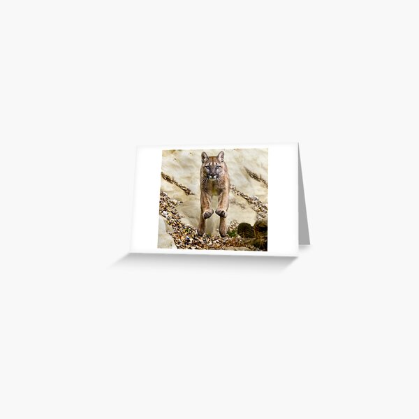 She flies through the air with the greatest of ease...... Greeting Card