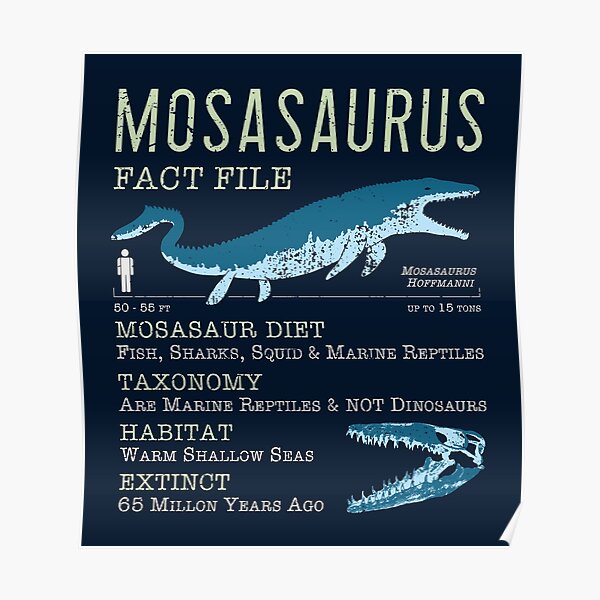 Mosasaurus Facts Poster