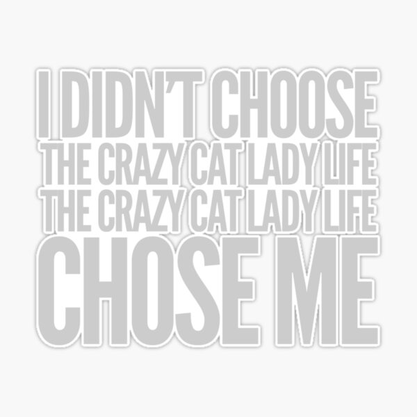 My Crazy Cat Life