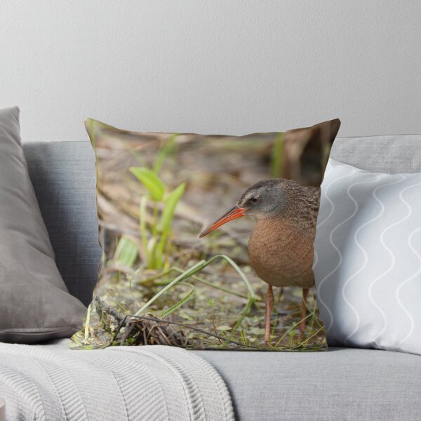 Item preview, Virginia Rail designed and sold by Tracey  Dryka.