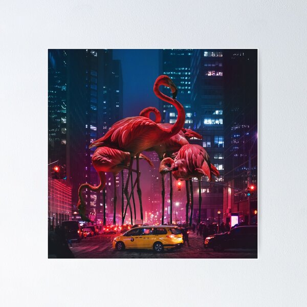 Flamingos in the Street Poster