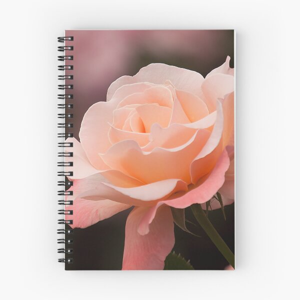 Item preview, Rose designed and sold by EugeJ.