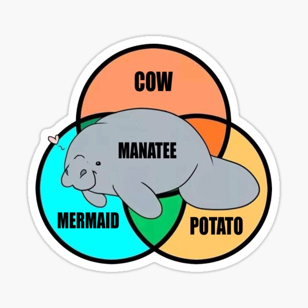Item preview, Manatee Funny Tee designed and sold by PotatoGear.