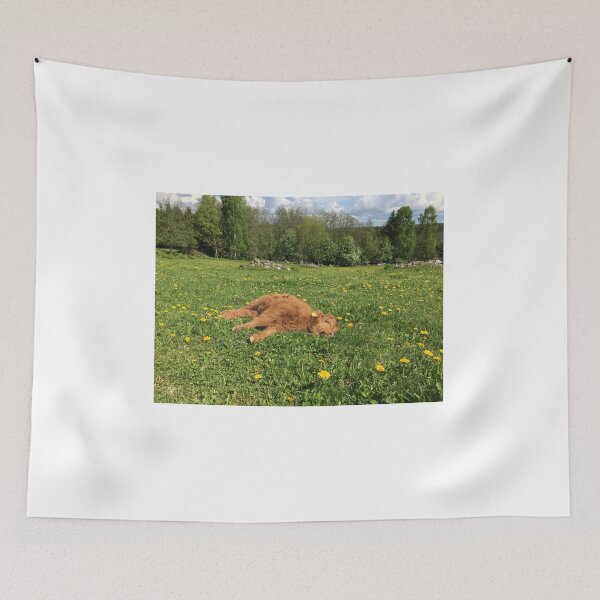 Item preview, Scottish Highland Cattle Calf 1777 designed and sold by SaarelaHighland.