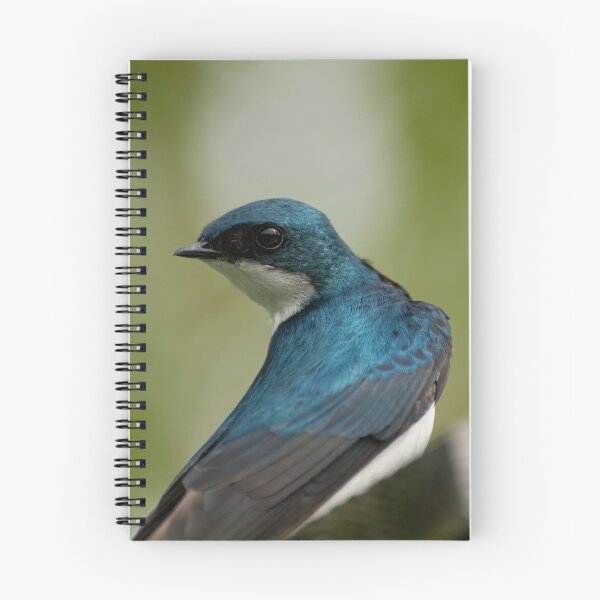 Item preview, Tree Swallow - Fletcher's Garden designed and sold by Tracey  Dryka.