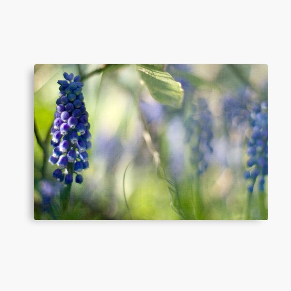 It's a Jungle out There Metal Print