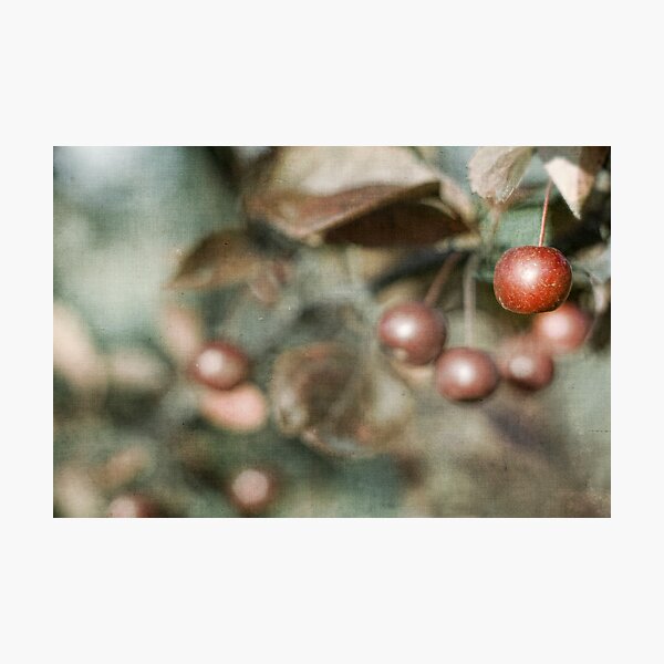 Just the One! Photographic Print