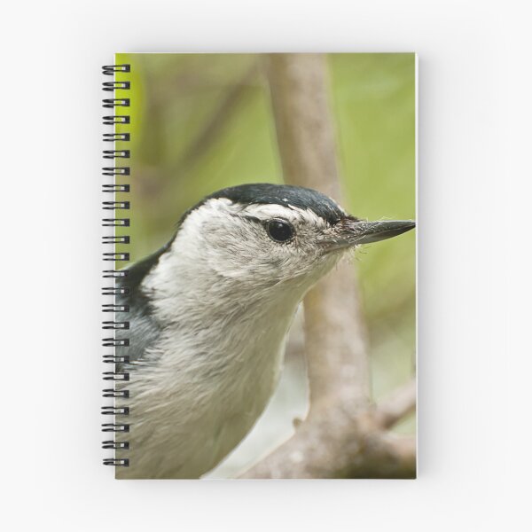 Item preview, White breasted Nuthatch designed and sold by Tracey  Dryka.