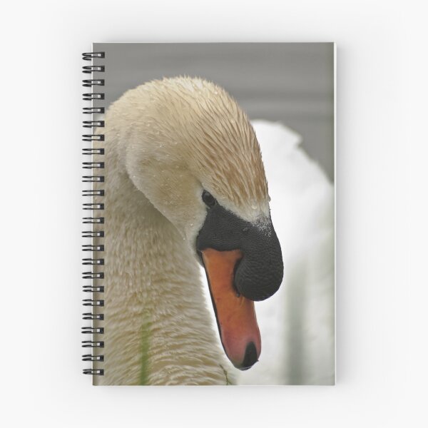 Item preview, Mute Swan - Cygnus olor designed and sold by Tracey  Dryka.