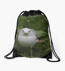 Don't mess with Me!!! - gulls, Ottawa, Ontario Drawstring Bag