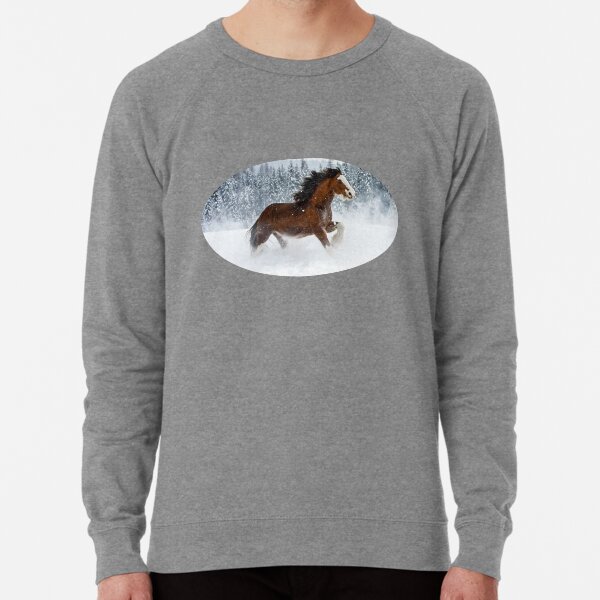 Clydesdale Horse