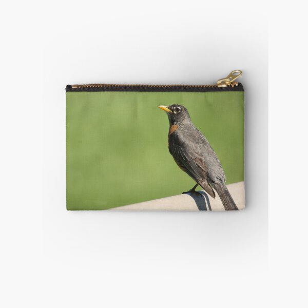 Item preview, Robin Of Raymore designed and sold by EugeJ.