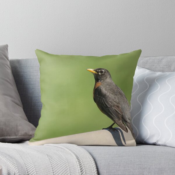 Item preview, Robin Of Raymore designed and sold by EugeJ.