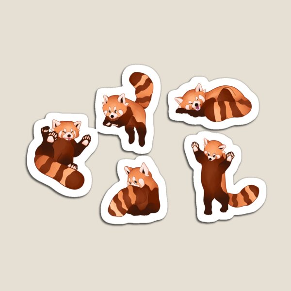 Red Panda Pattern Magnet
