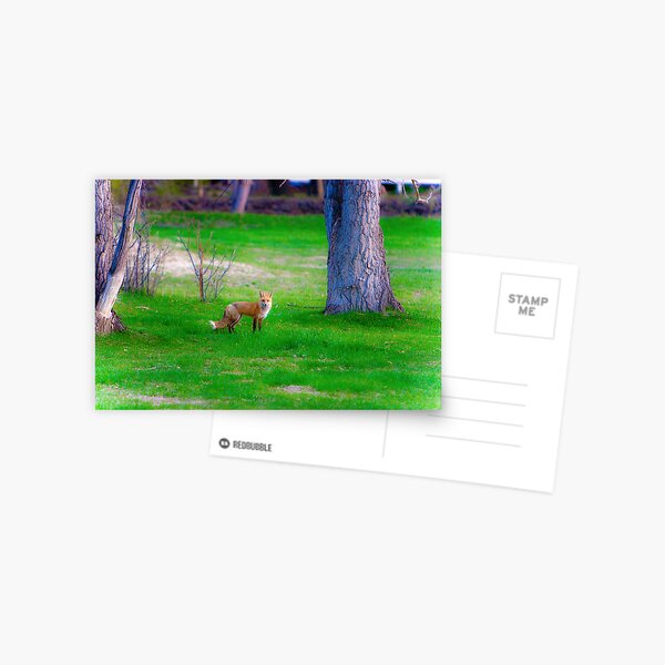 Item preview, Fox Woderland designed and sold by Bo Insogna.