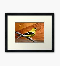 male goldfinch Framed Print