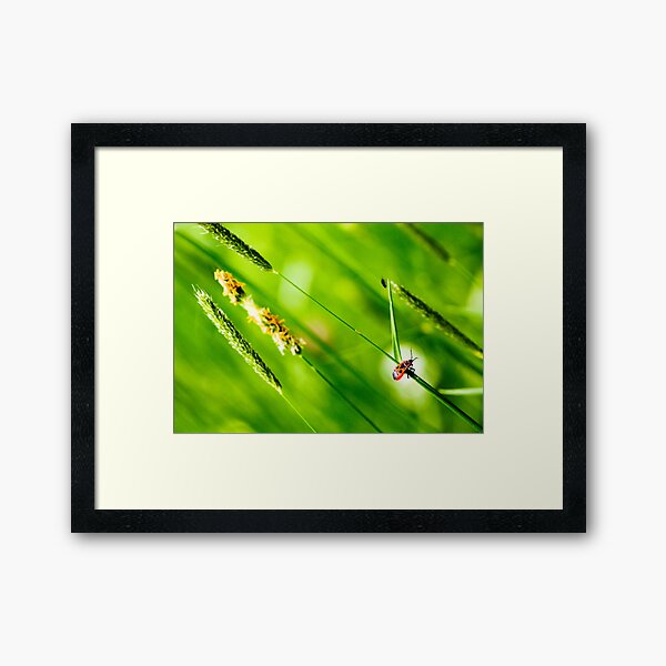 OnePhotoPerDay Series: 128 by C. Framed Art Print