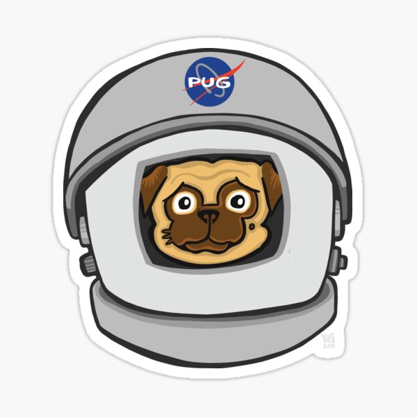 Space Pug Sticker