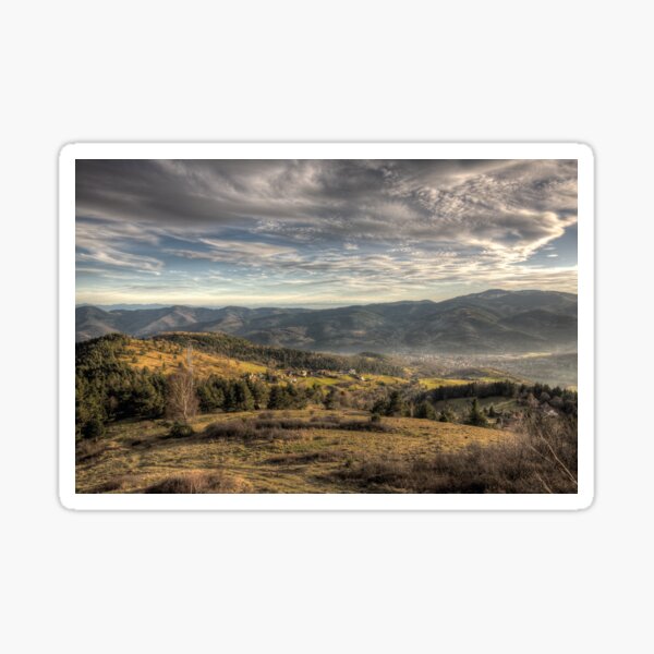 What a view Sticker