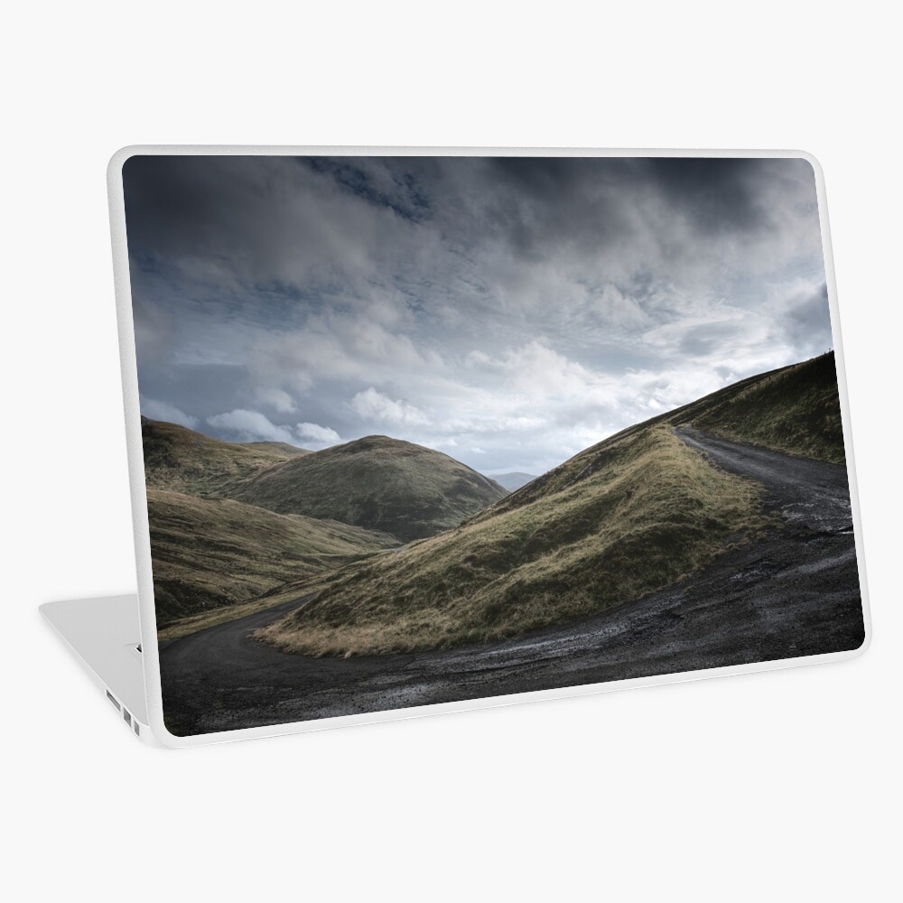 Item preview, Laptop Skin designed and sold by ShinyPhoto.