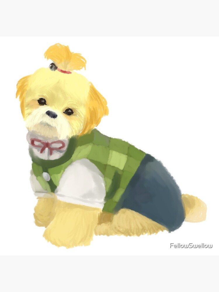 yellow shih tzu