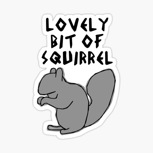 Lovely Bit of grey squirrel Sticker