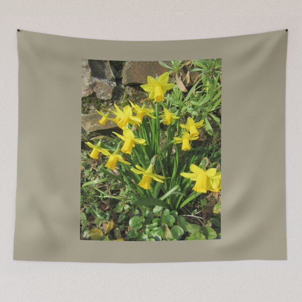 Item preview, Miniature Daffodils (Narcissus) designed and sold by lezvee.