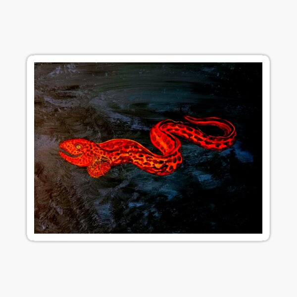 Juvenile wolf eel Sticker
