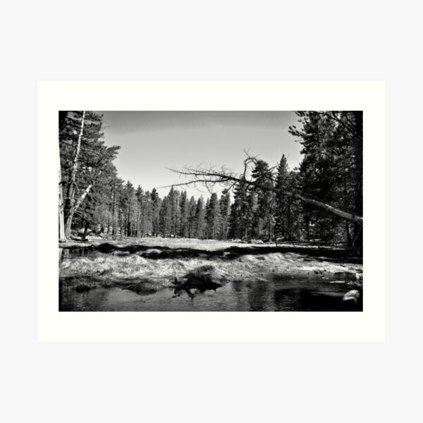 " High mountain meadows " Art Print