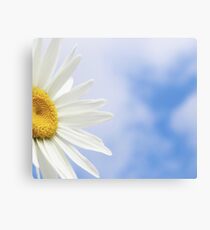 Daisy Canvas Print