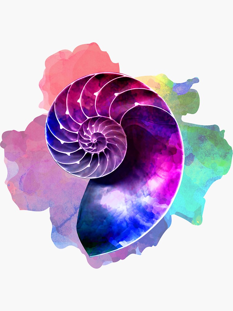 Nautilus Shell Version Sticker For Sale By Btsparks Redbubble