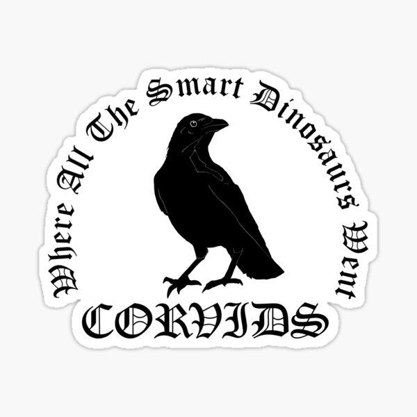 Corvids - Where all the smart dinosaurs went Sticker
