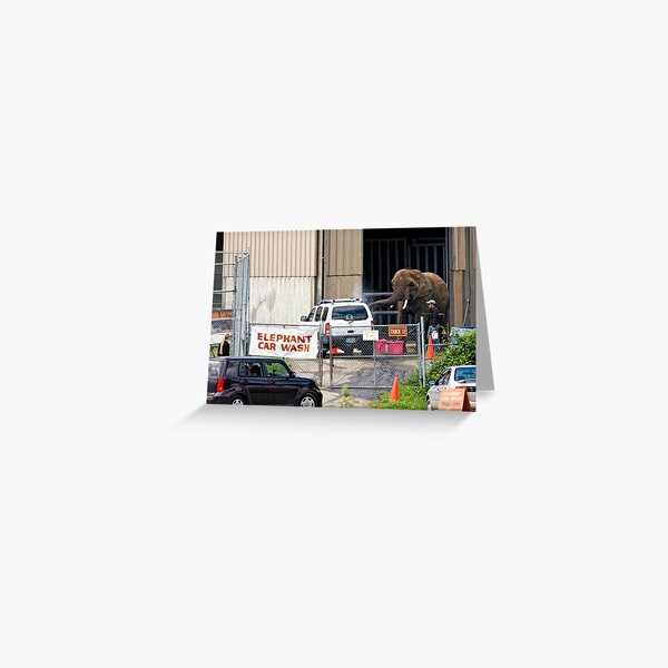 Item preview, The Only Car Wash Guaranteed Not To Get Your Car Clean designed and sold by TeresaB.