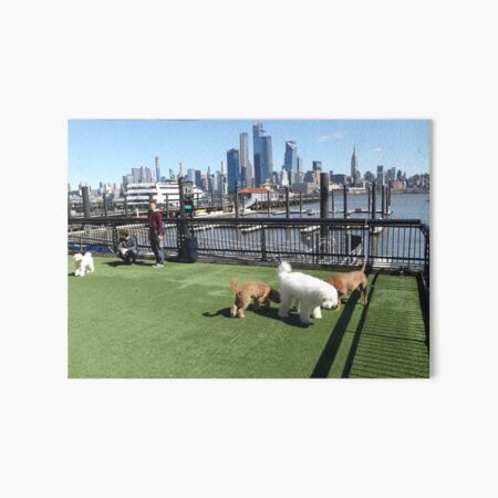 Artikel-Vorschau von Dog Run auf dem Hudson River, Skyline von Manhattan, New York City, designt und verkauft von lenspiro.
