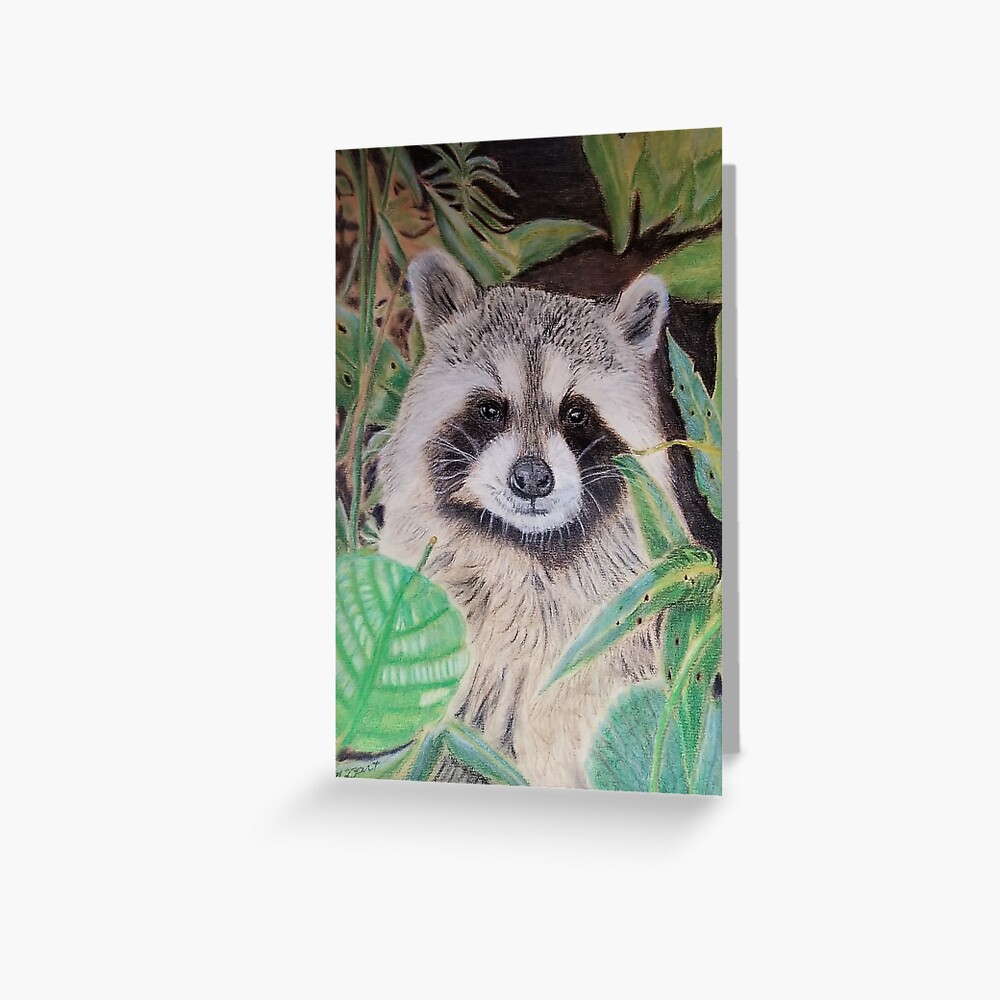"Raccoon" Greeting Card for Sale by teenamarie23art Redbubble