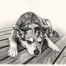 Missy by Simon Aberle