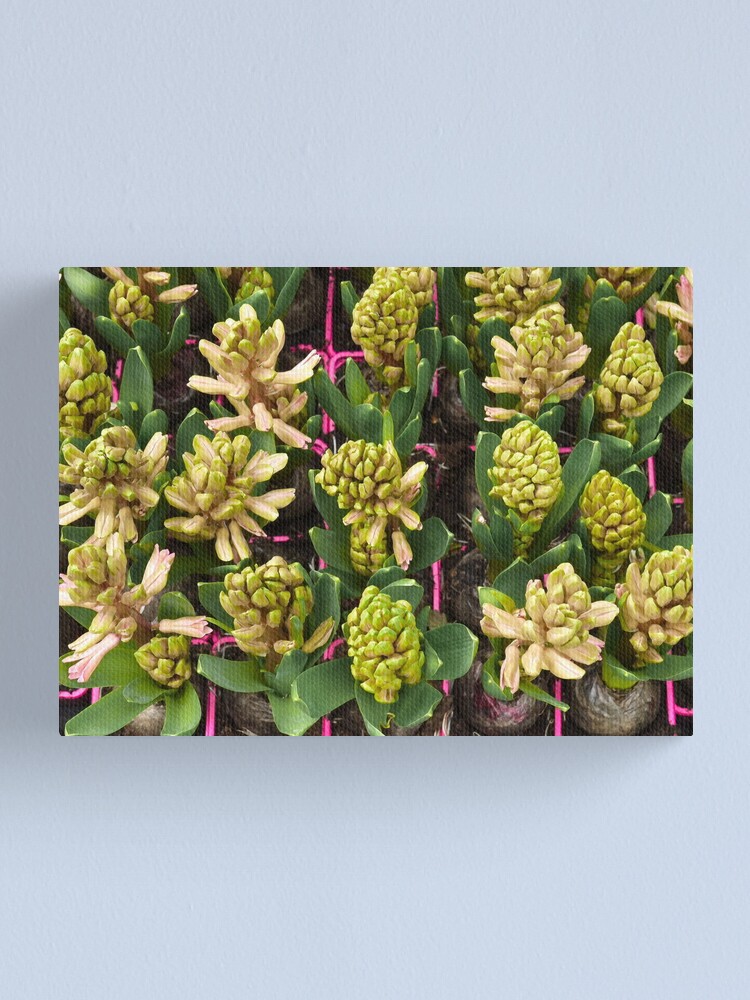 Alternate view of Arranged, square Canvas Print