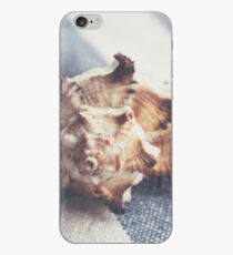 Shell 4 iPhone Case