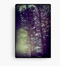Dreamworld Canvas Print