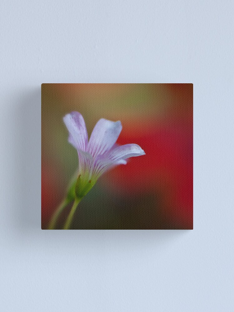 Alternate view of A bokeh for all Moms Canvas Print