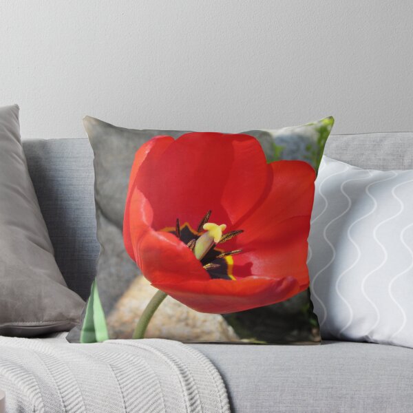 Item preview, Red Tulip designed and sold by KOKeefeArt.