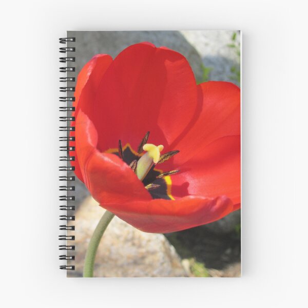 Item preview, Red Tulip designed and sold by KOKeefeArt.