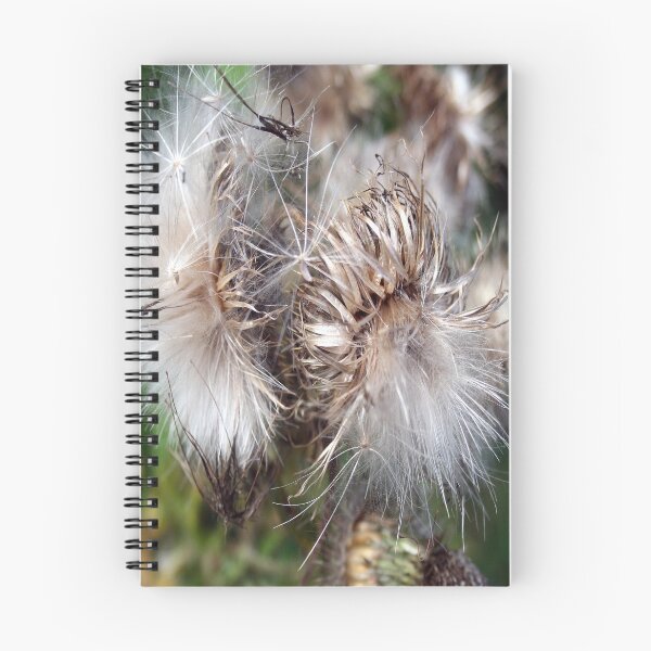Item preview, Thistle Down designed and sold by Merice  Ewart Marshall.
