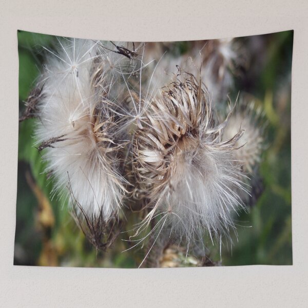 Item preview, Thistle Down designed and sold by Merice  Ewart Marshall.