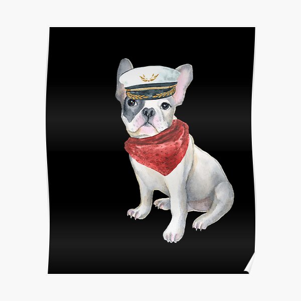 bulldog with bandana