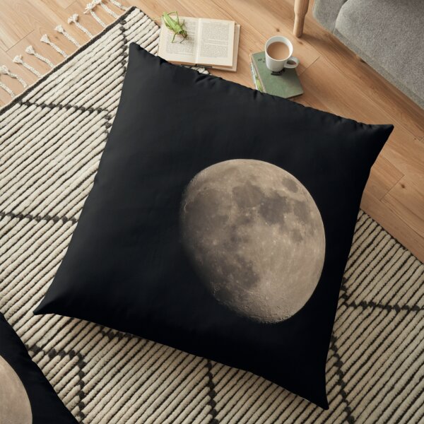 Moonshot #1 Floor Pillow