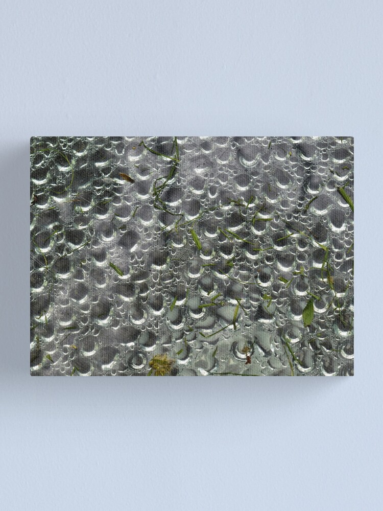 Alternate view of Spot Canvas Print