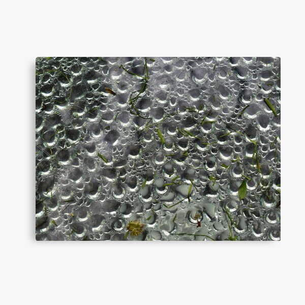 Spot Canvas Print